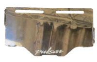 Porta placa cromado 2D Pulsar