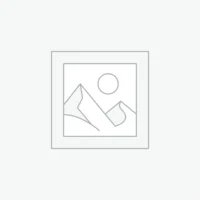 Carburador racing NIBBI 34MM